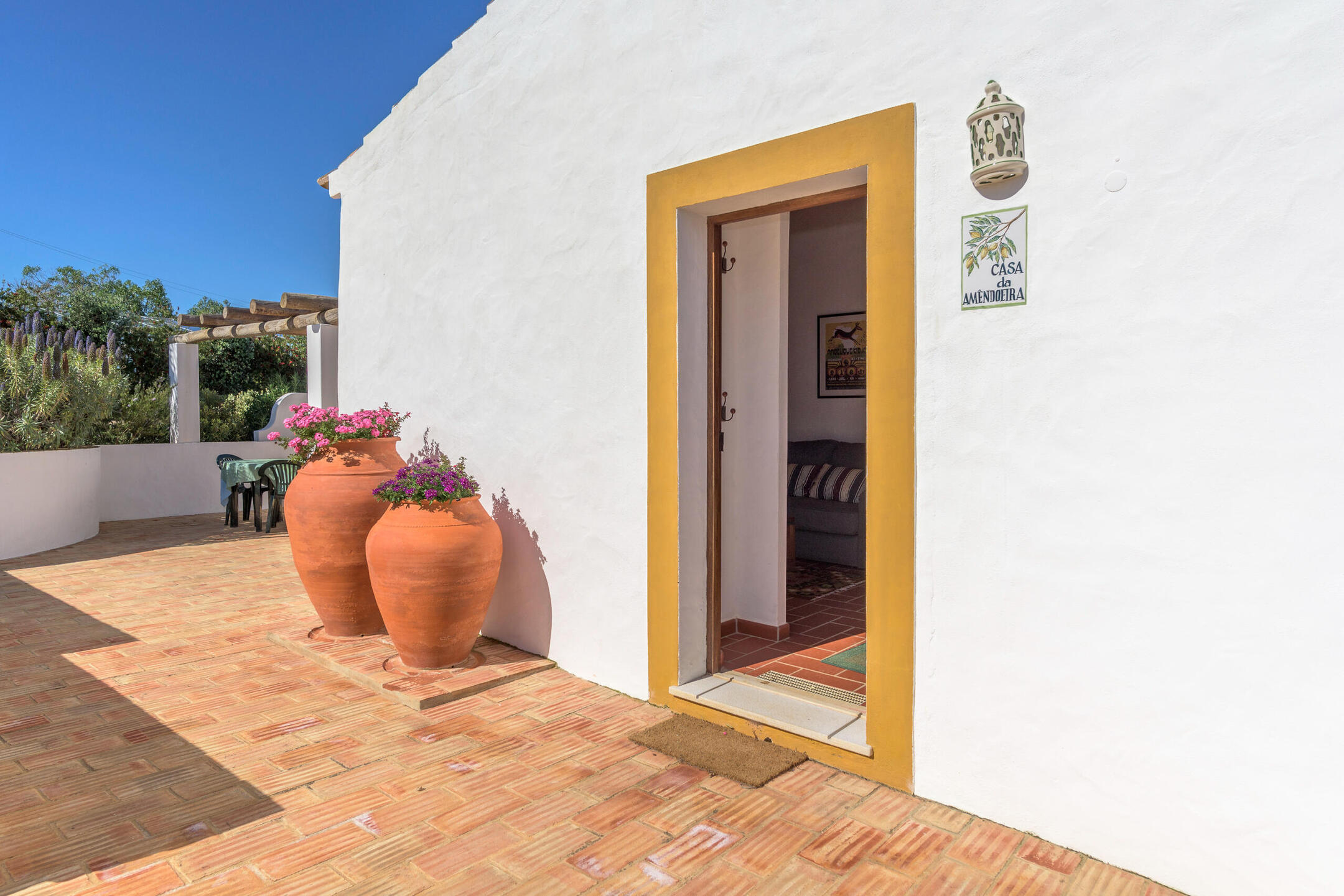 Amendoeiro Amendoeiro